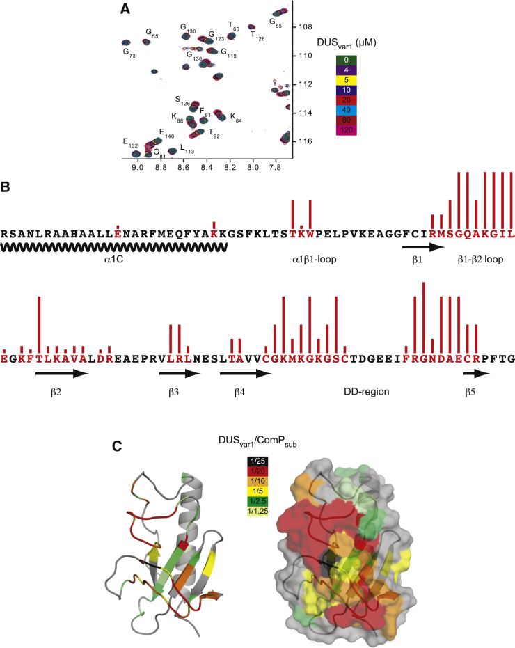 Figure 5