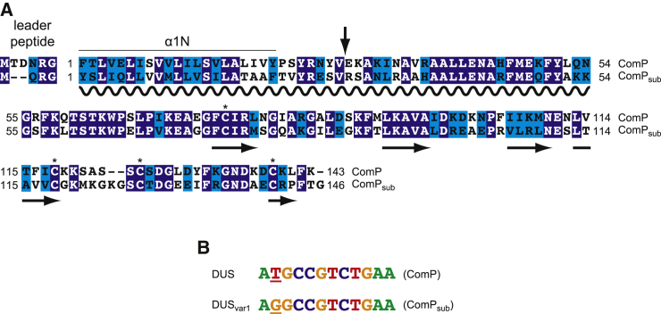 Figure 1