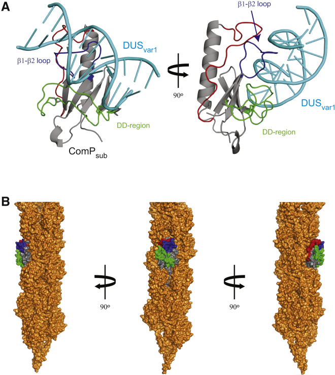 Figure 6