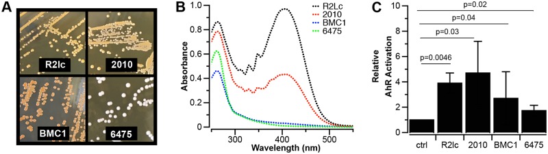 FIG 2