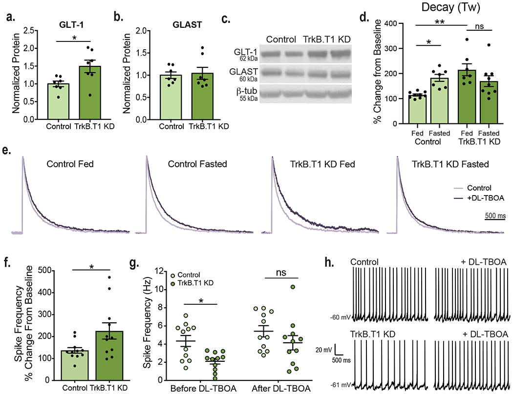 Figure 6: