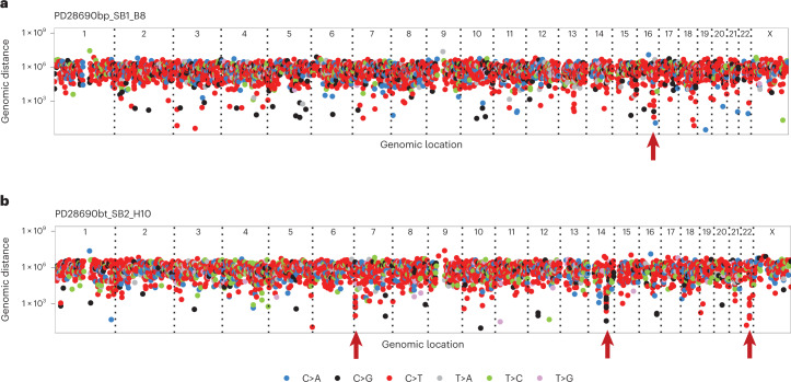 Fig. 4