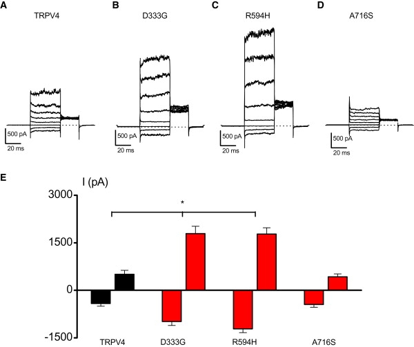 Figure 3