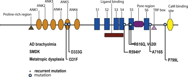 Figure 5