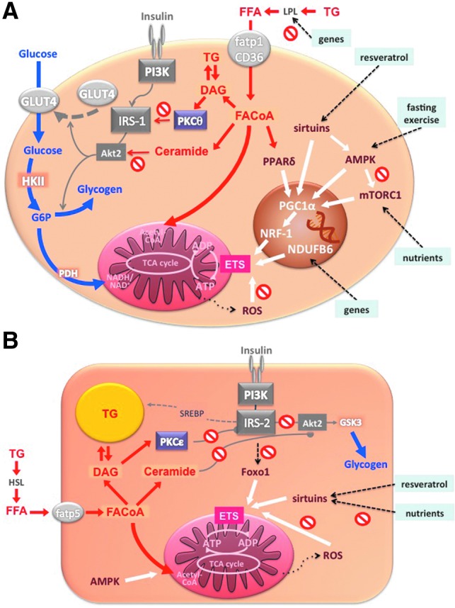 FIG. 8.