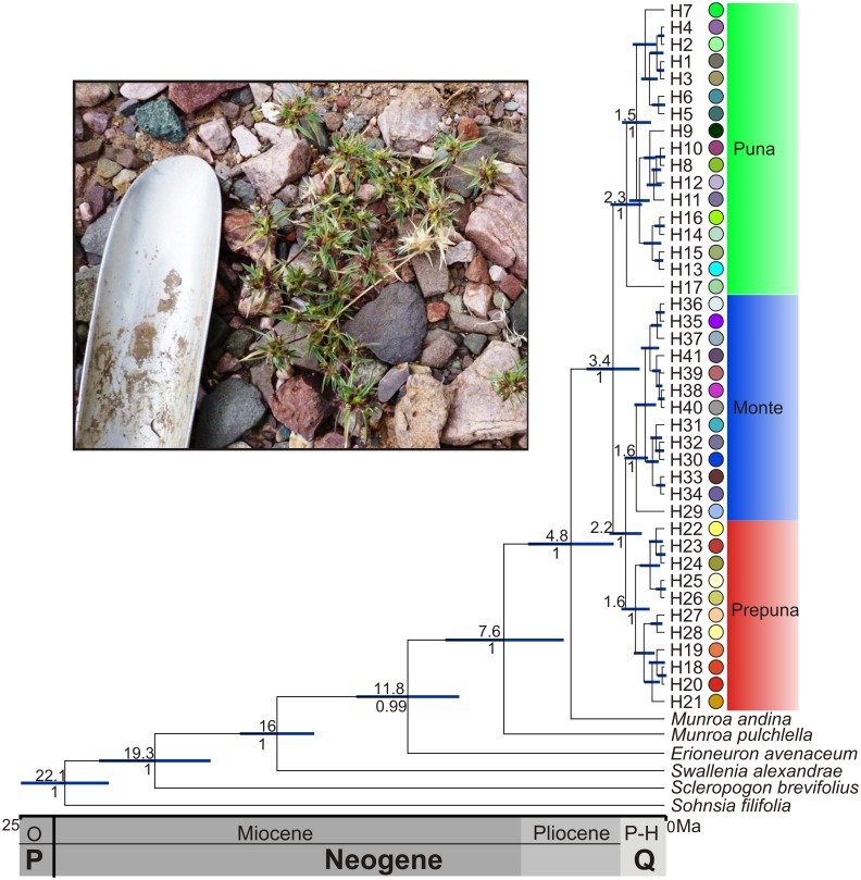 Fig 2