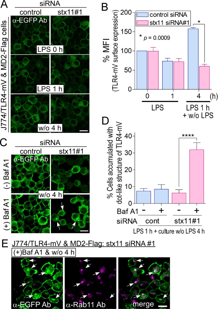 FIGURE 5: