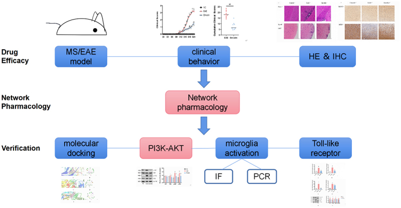 Figure 11.