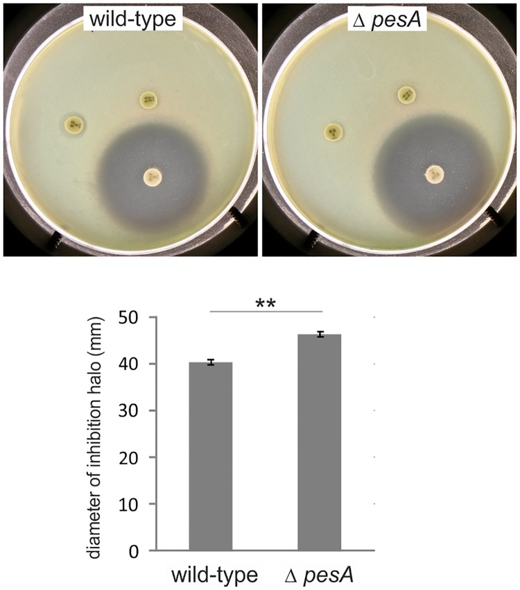 Fig 4