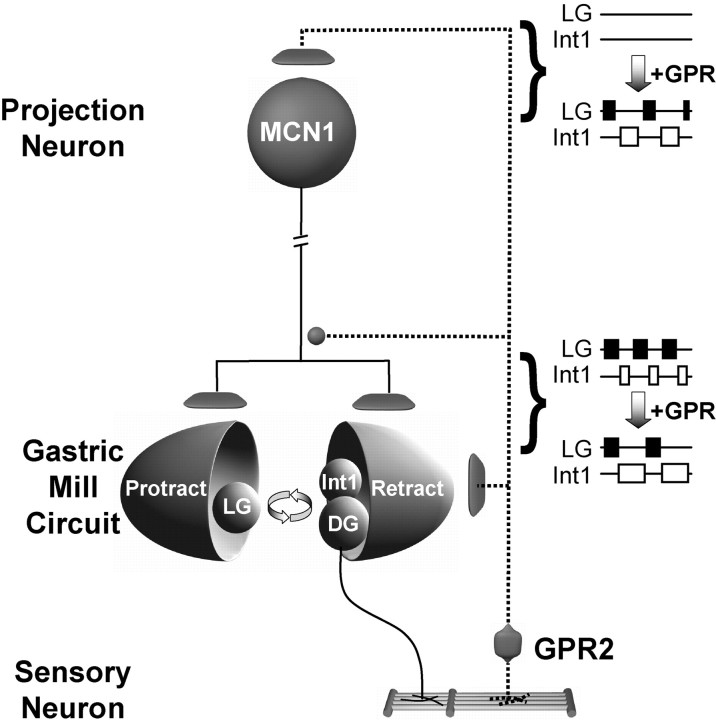 
Figure 12.
