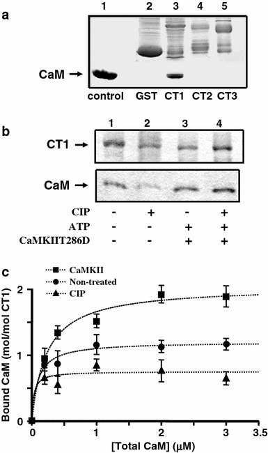 Fig. 4