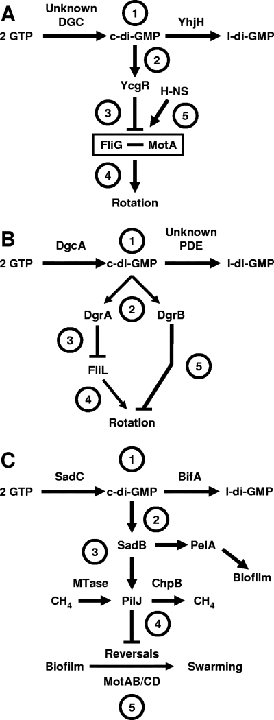 FIG. 6.