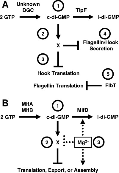 FIG. 5.