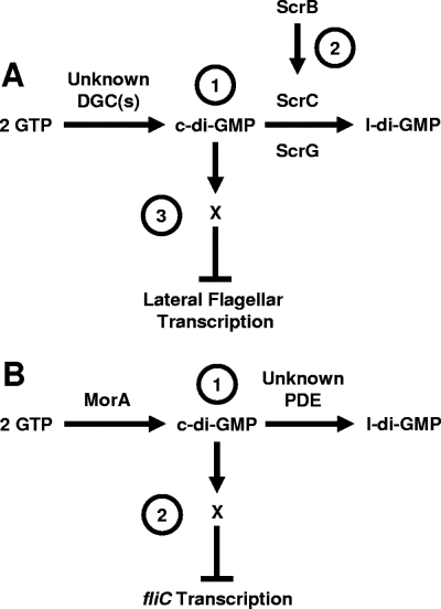 FIG. 4.