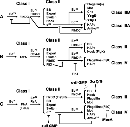 FIG. 3.