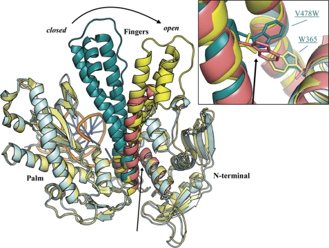 FIGURE 5.