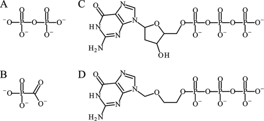 FIGURE 1.