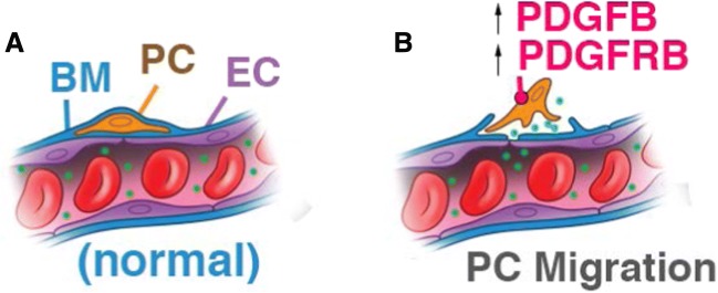 FIG. 8