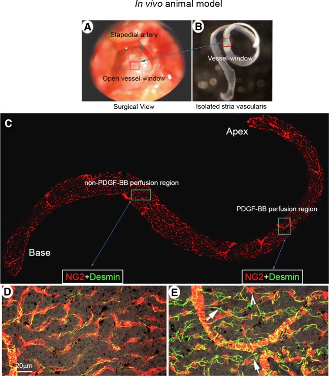 FIG. 4