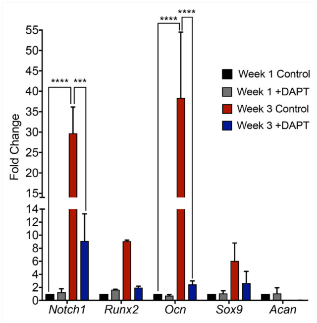 Figure 5.