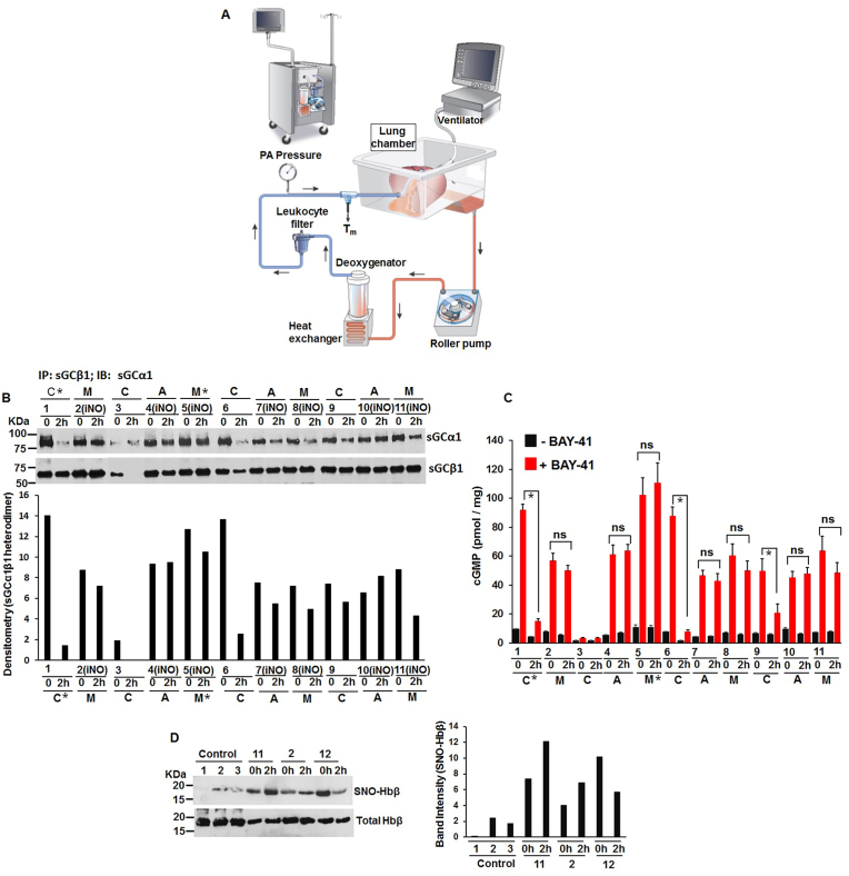 Fig. 10