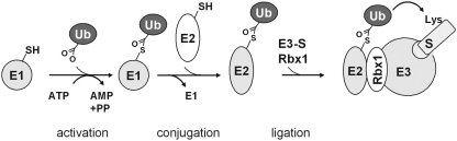 FIG. 5.