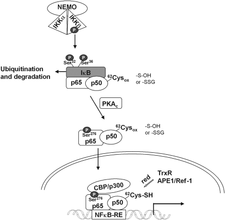 FIG. 11.