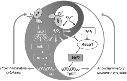 FIG. 15.