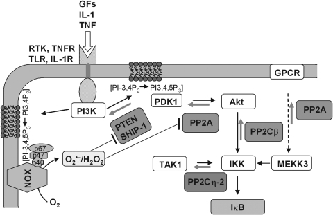 FIG. 12.