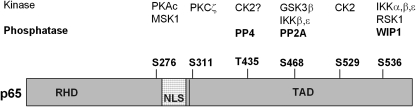 FIG. 14.