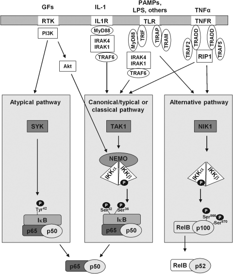 FIG. 10.