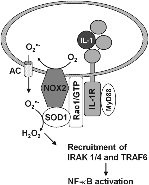 FIG. 13.