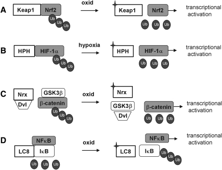 FIG. 6.