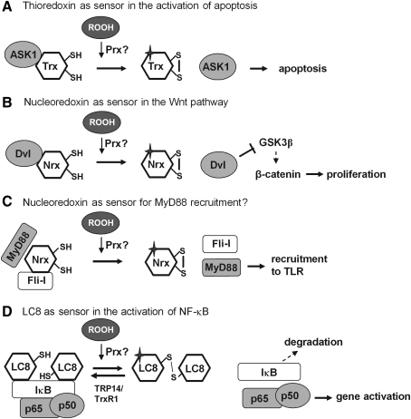 FIG. 4.