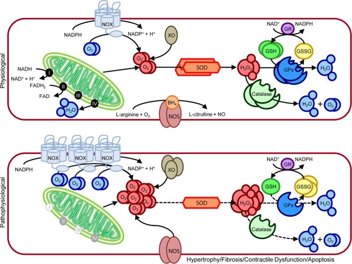 EJHF-1320-FIG-0002-c