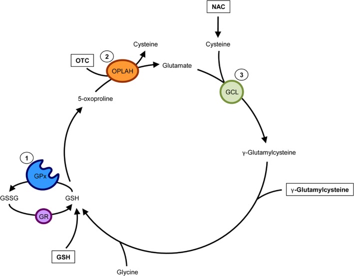 EJHF-1320-FIG-0003-c