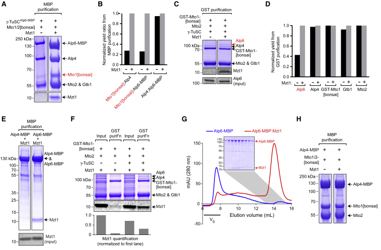 Figure 4