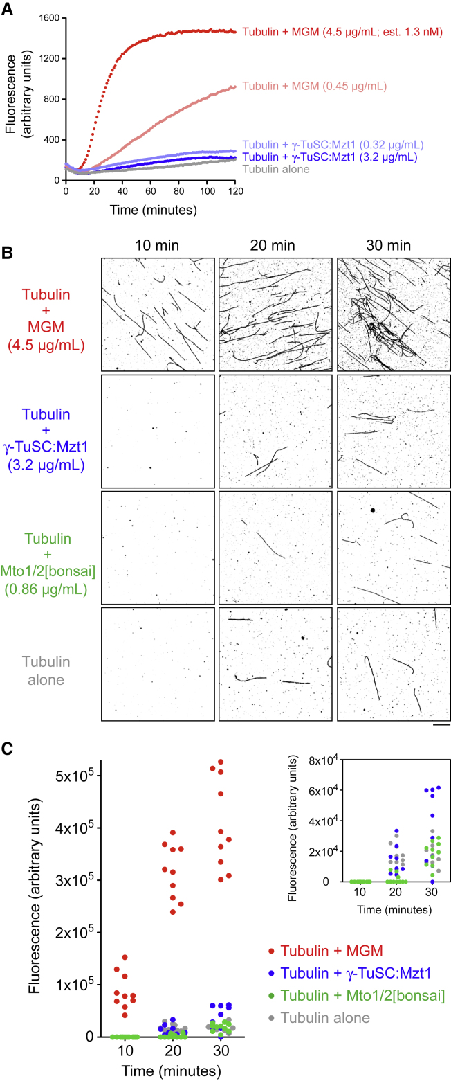 Figure 3