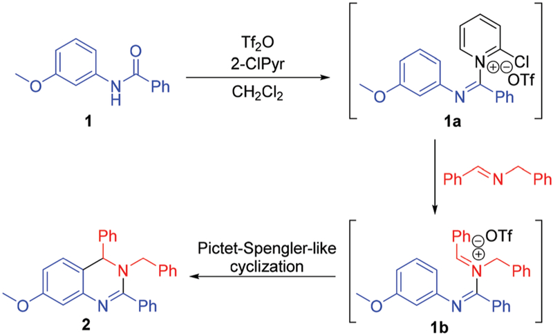 Scheme 2