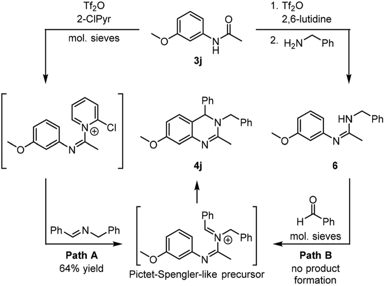 Scheme 3