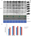 FIG 8