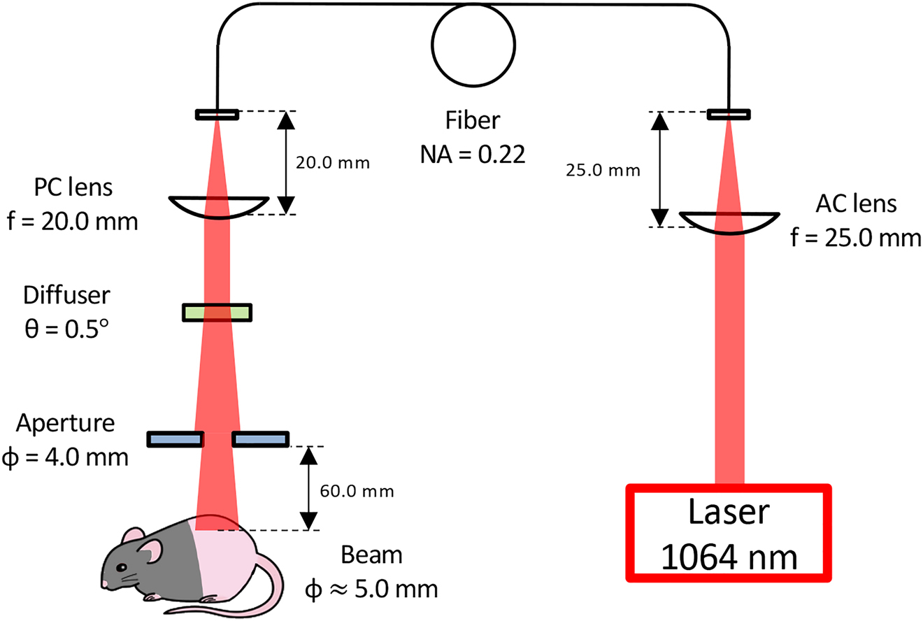 Figure 1: