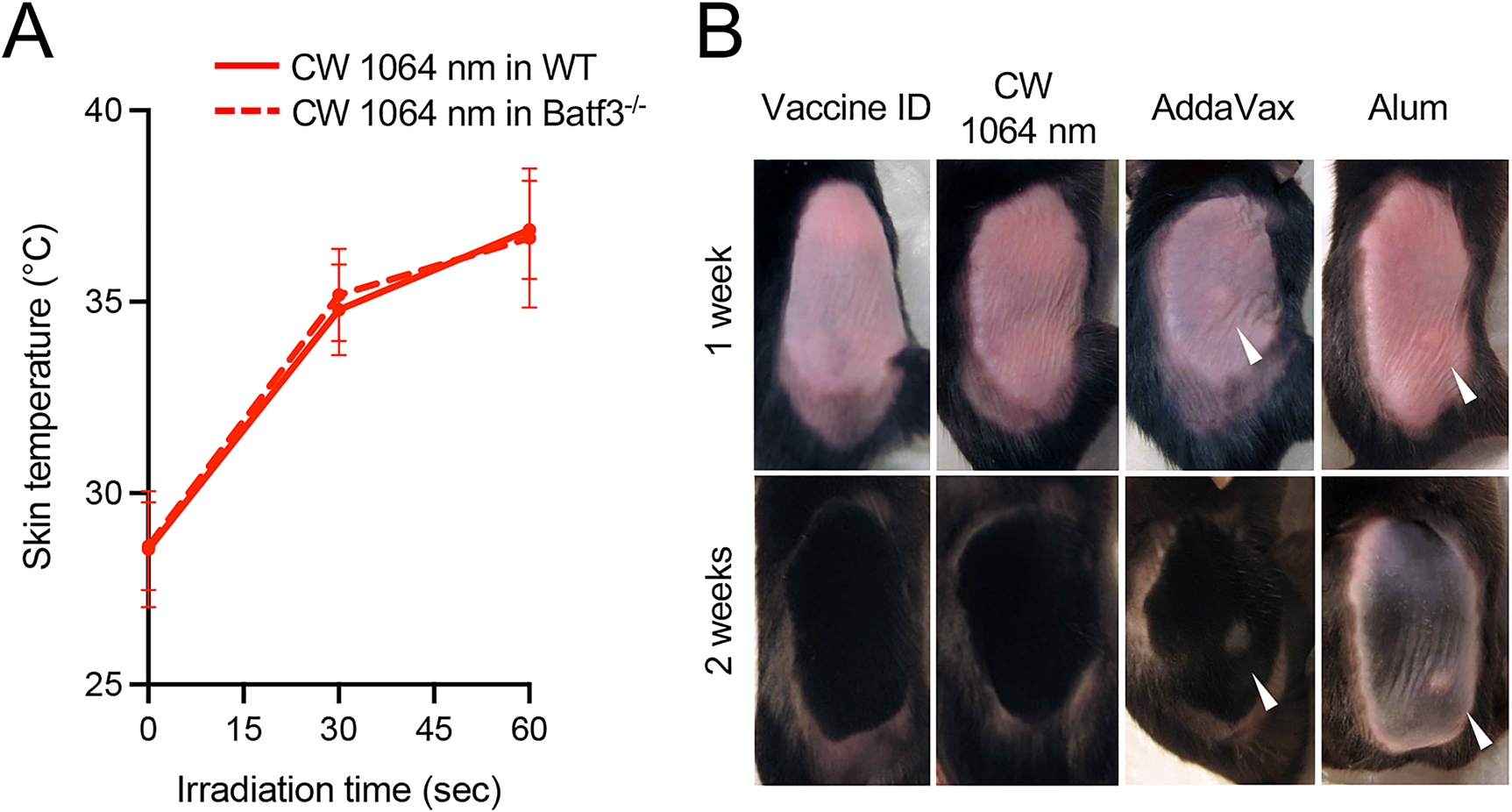 Figure 3: