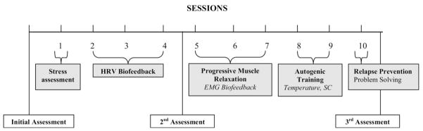 FIGURE 1