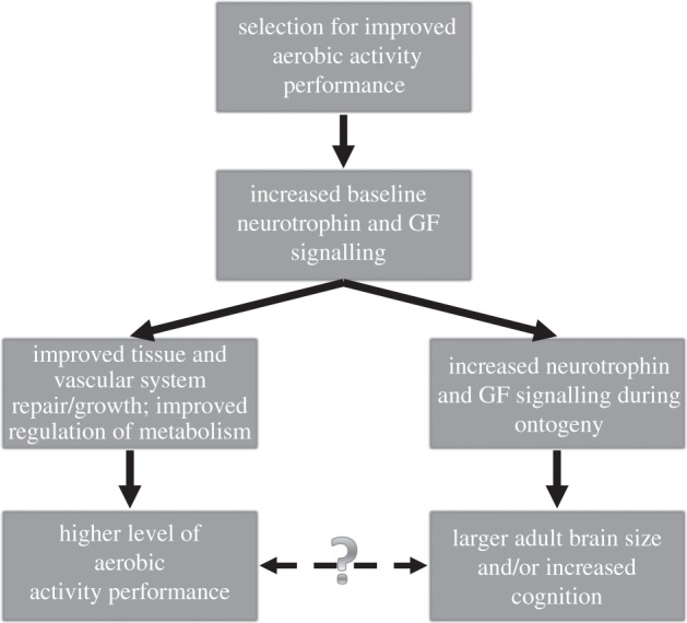 Figure 2.