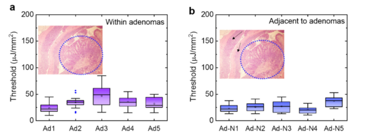 Fig. 9