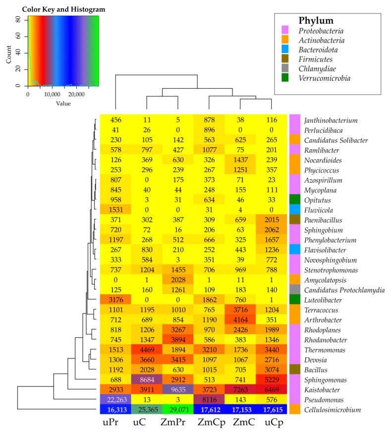 Figure 6