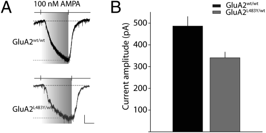 Fig. 5.