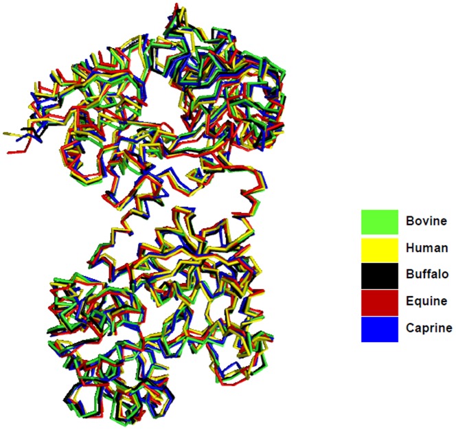 Figure 5