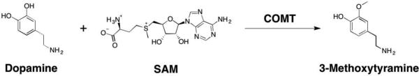 Figure 33